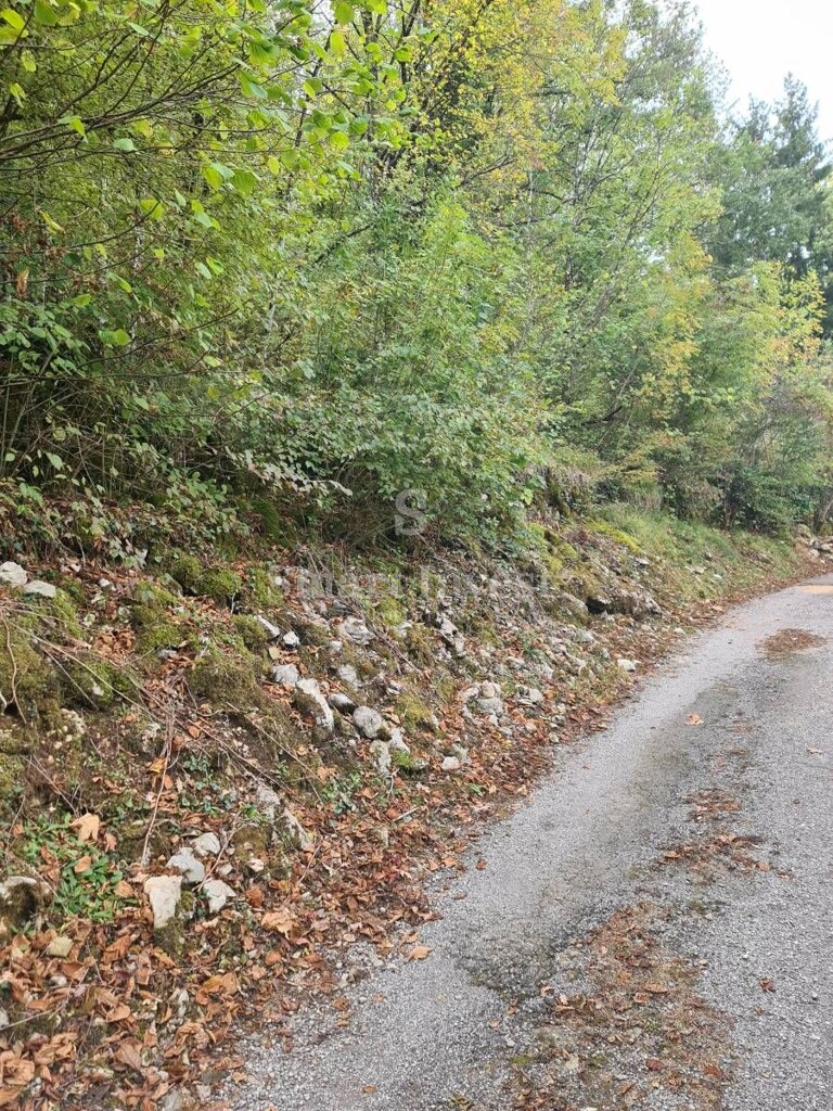 Image 6224470 - 4