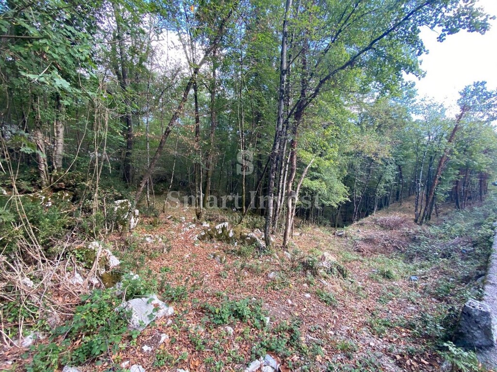 Image 6224474 - 6