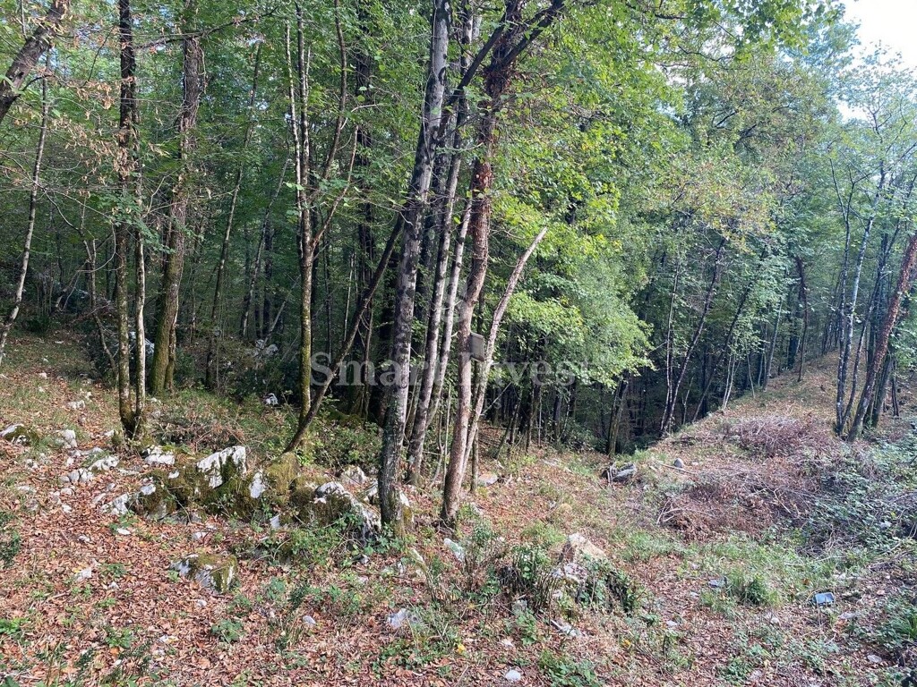 Image 6224474 - 1