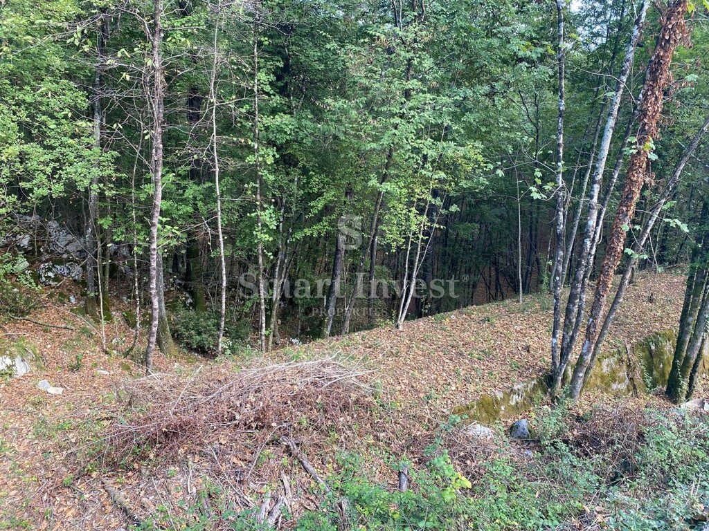 Image 6224474 - 2