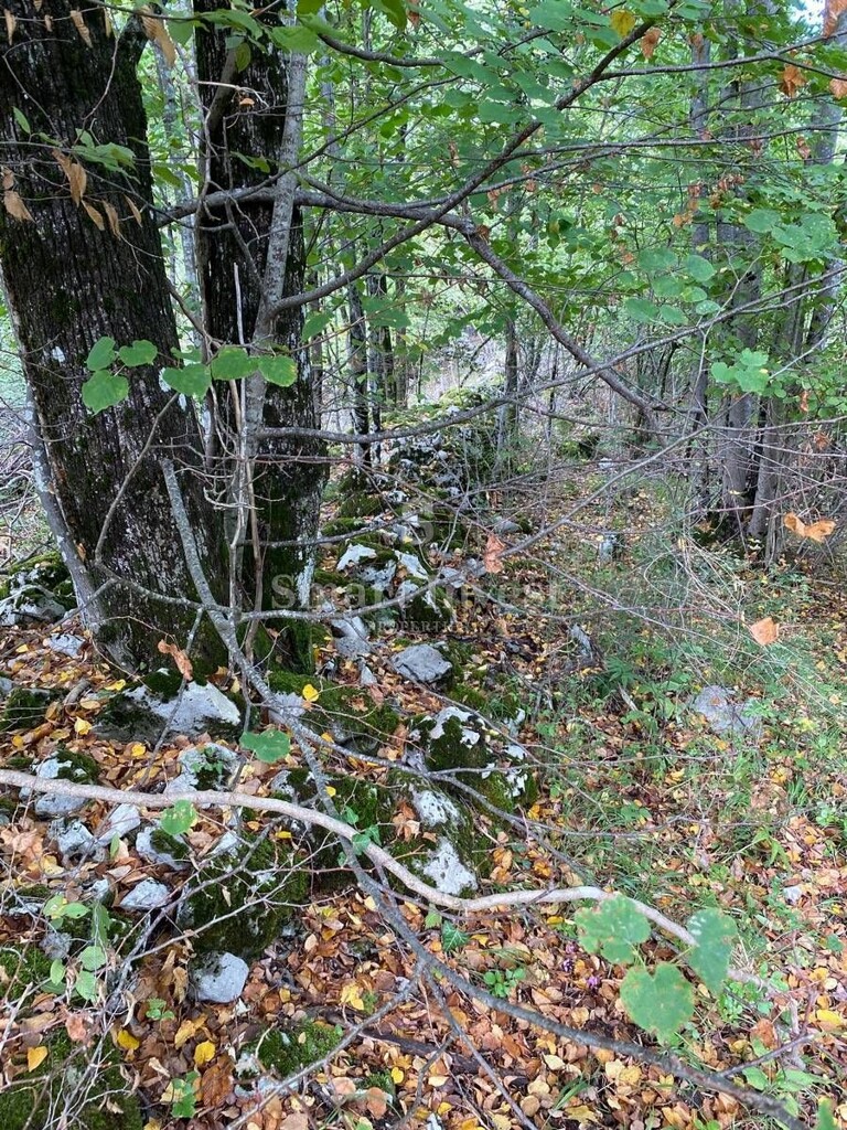 Image 6224476 - 7