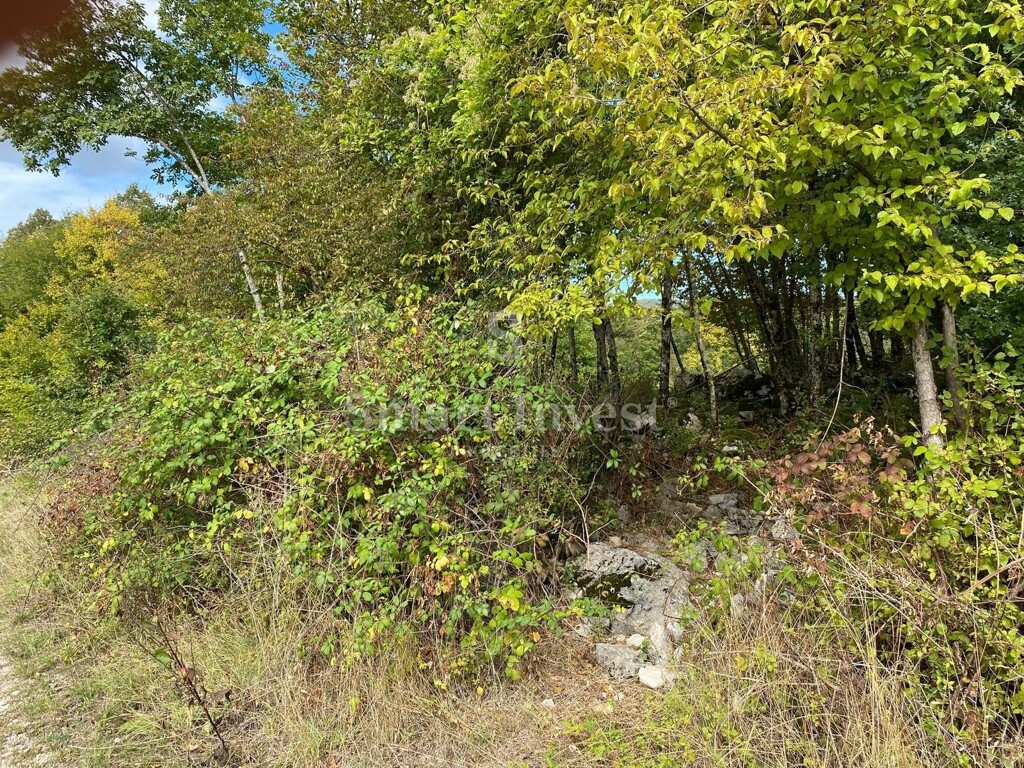 Image 6224476 - 5