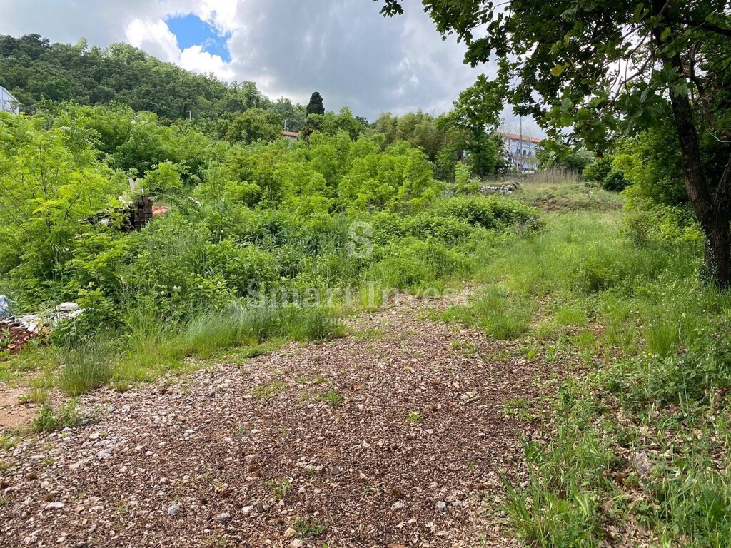 Image 6224483 - 4