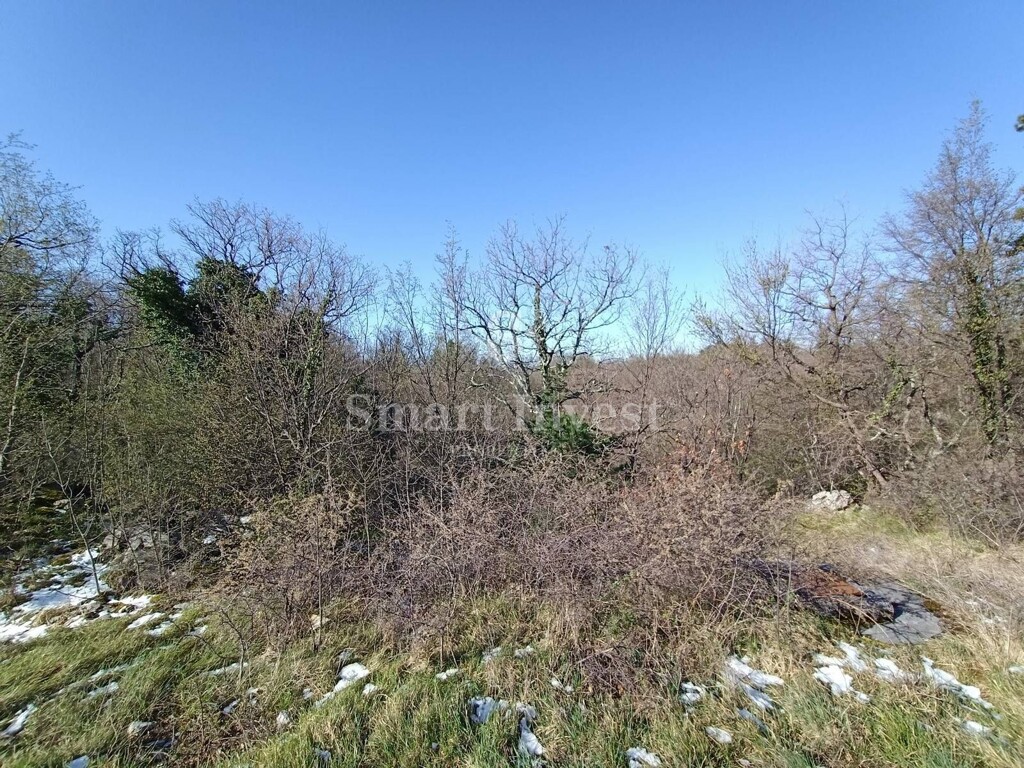 Image 6224489 - 2