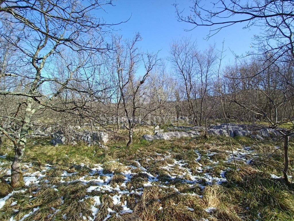 Image 6224489 - 1