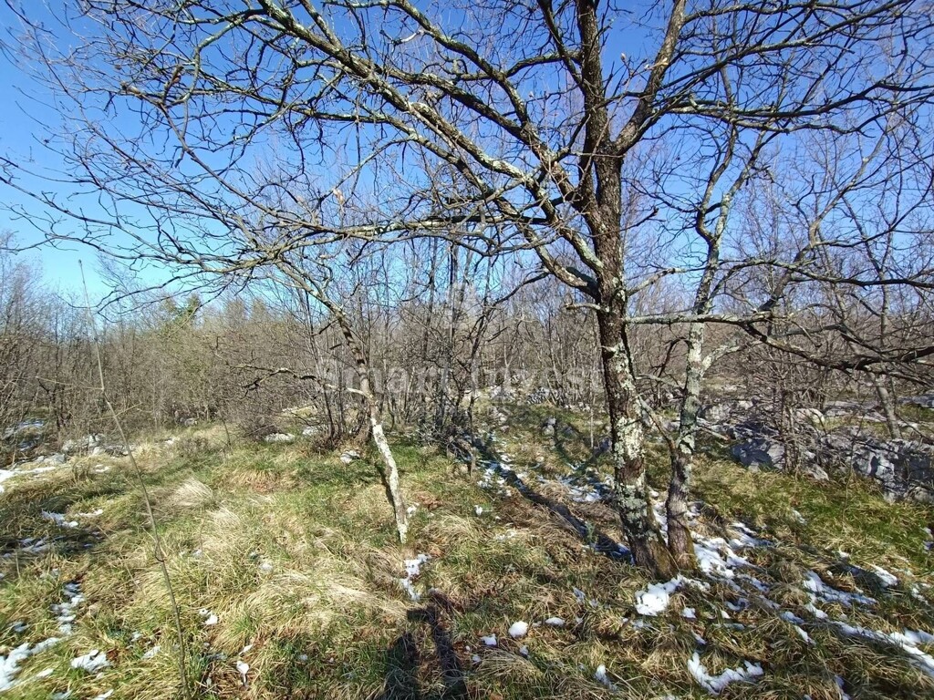Image 6224489 - 4