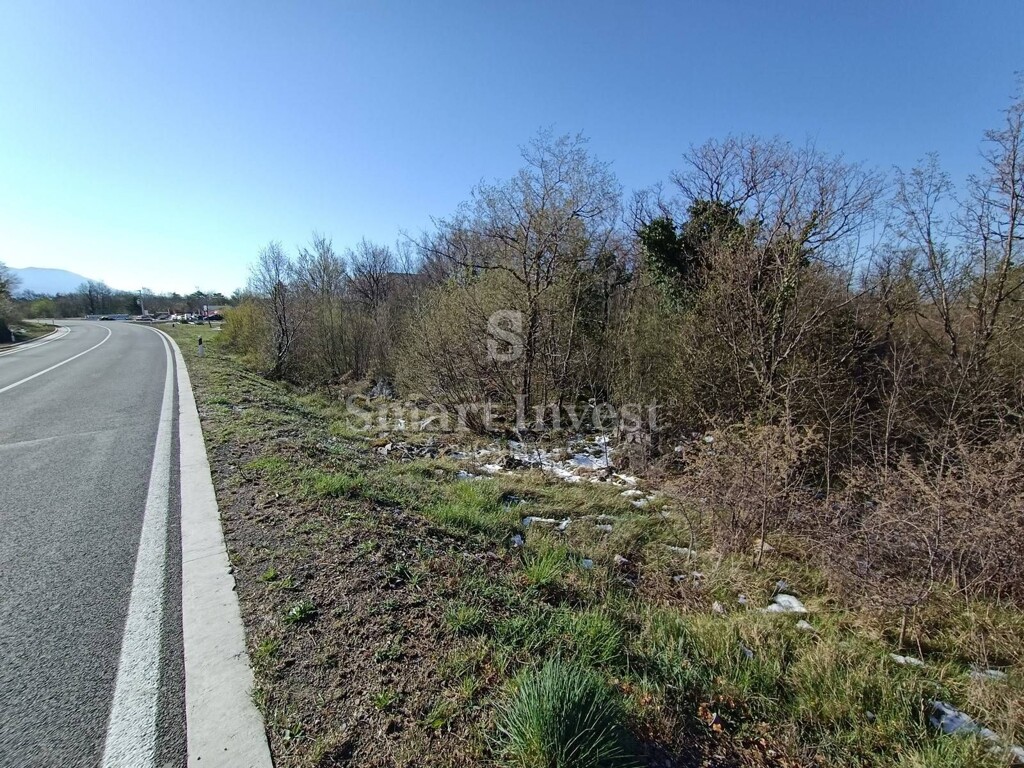 Image 6224489 - 5