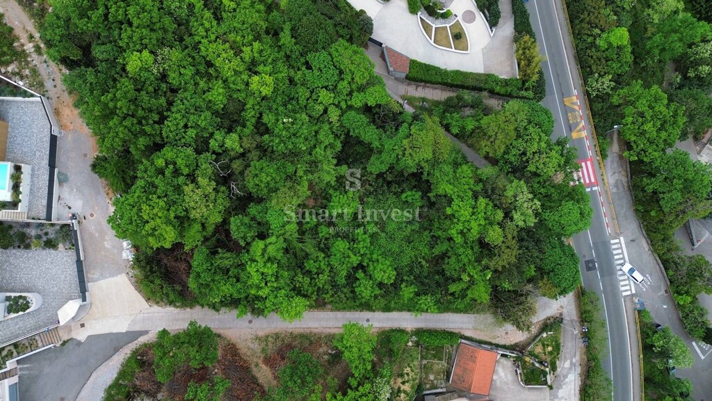 Image 6224497 - 2