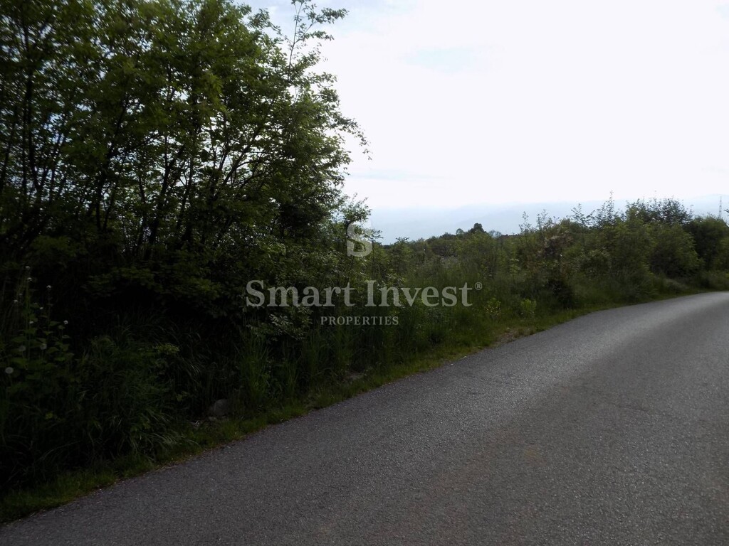 Image 6224500 - 5