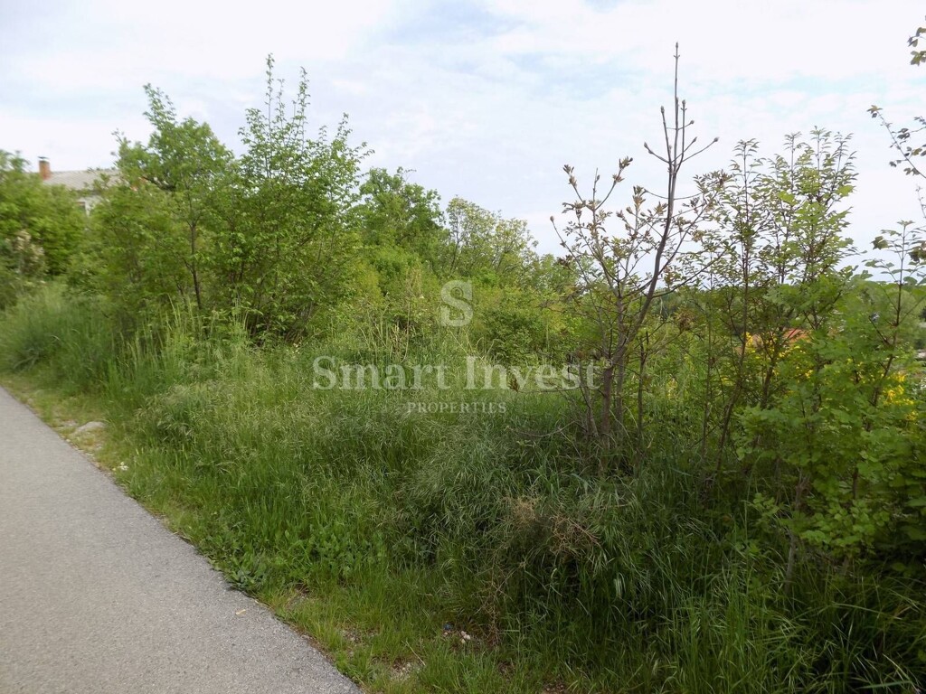Image 6224500 - 1