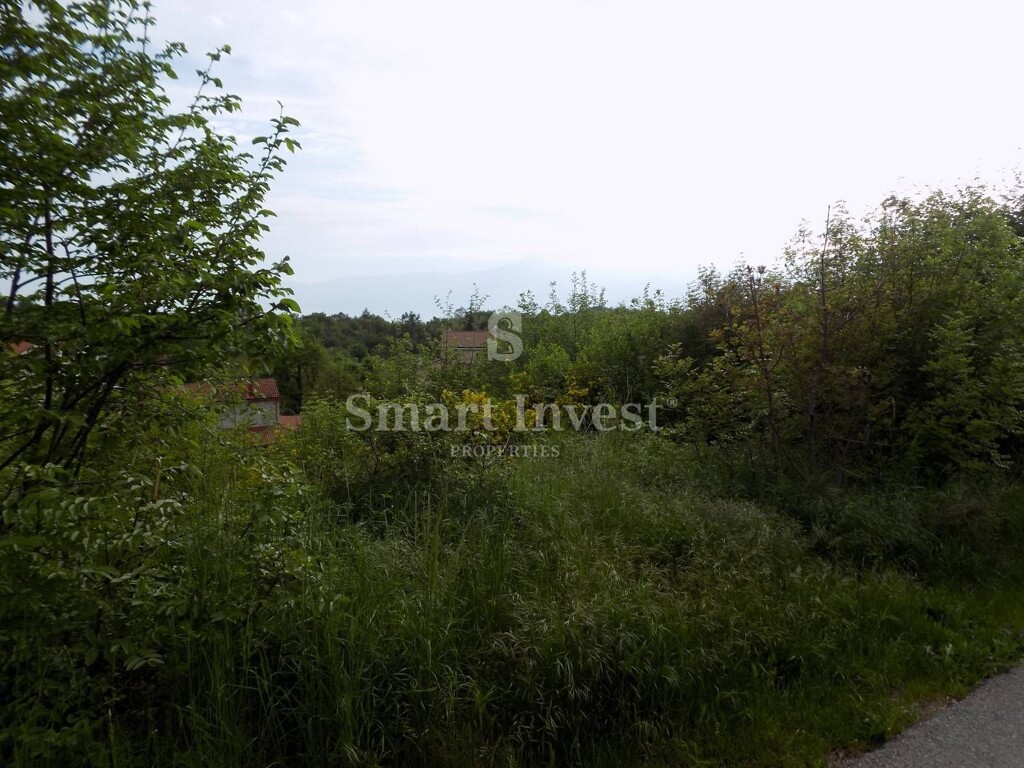 Image 6224500 - 4