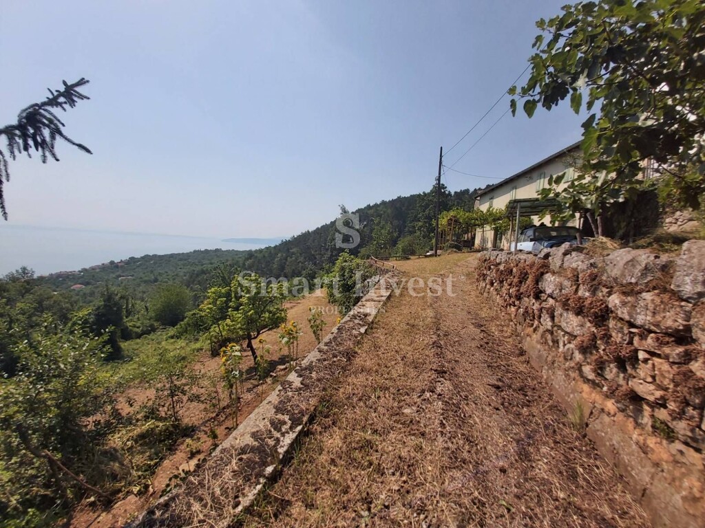 Image 6224529 - 19