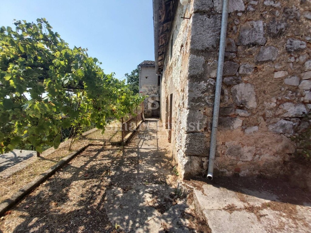 Image 6224529 - 10