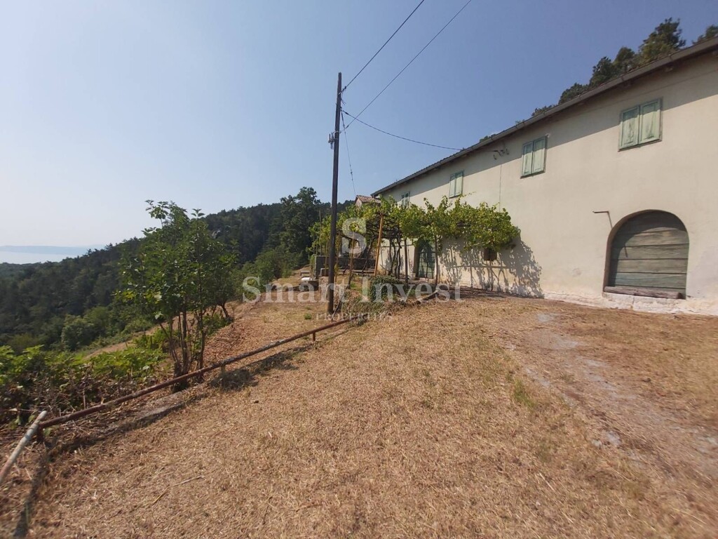 Image 6224529 - 2