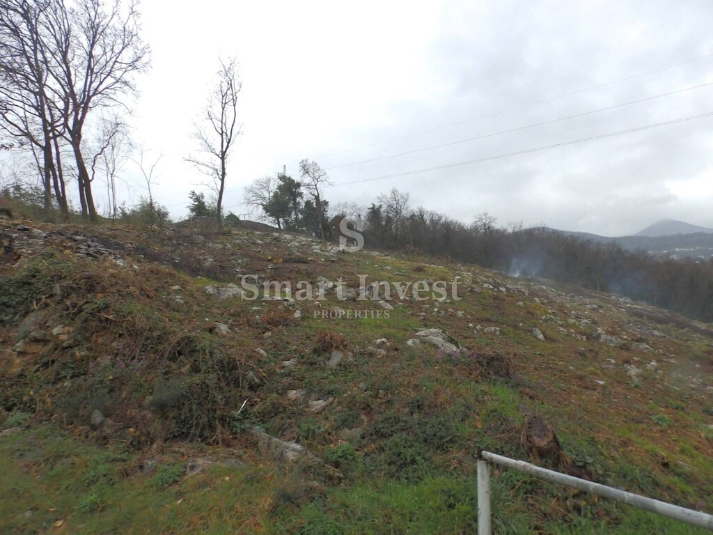 Image 6224530 - 2