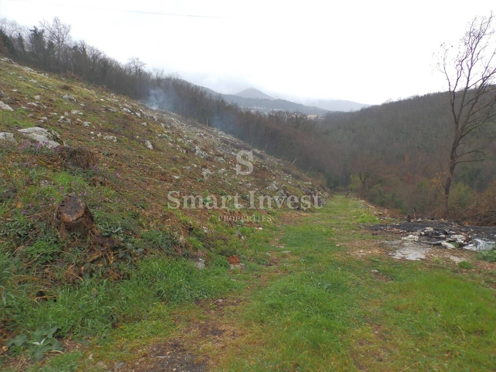 Image 6224530 - 1