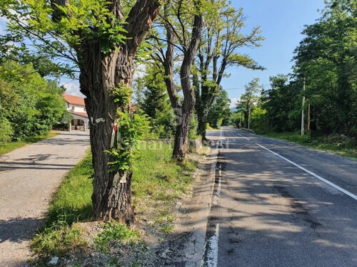 Thumbnail 6224535 - 6