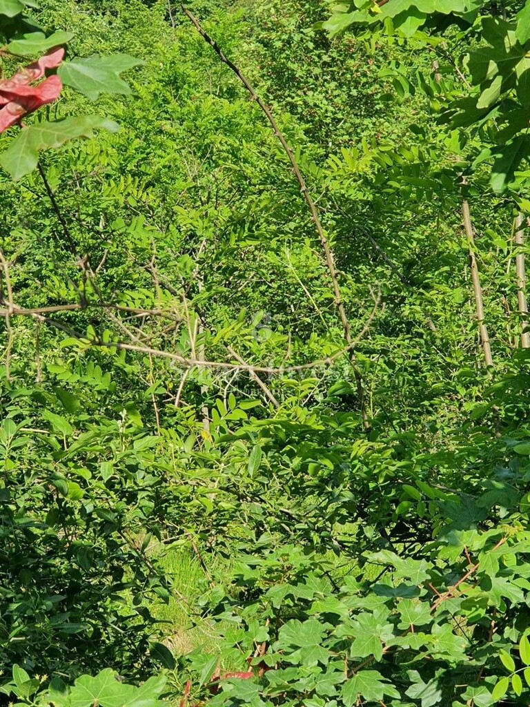 Image 6224535 - 2