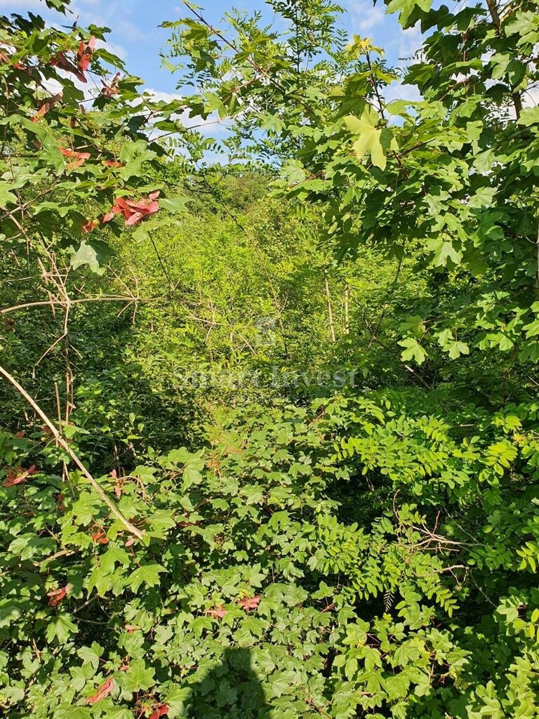 Image 6224535 - 4