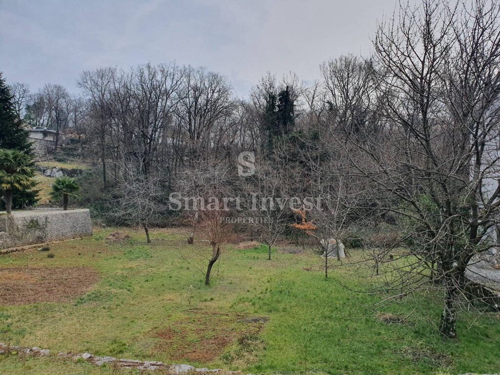 Image 6224540 - 1