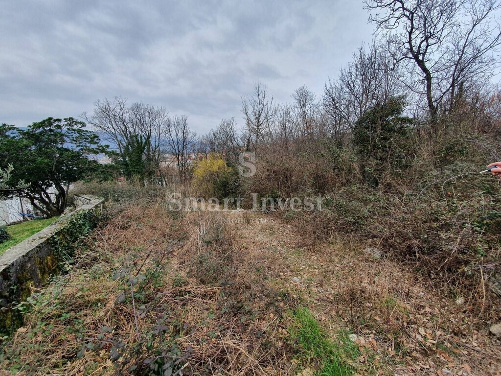 Image 6224540 - 7