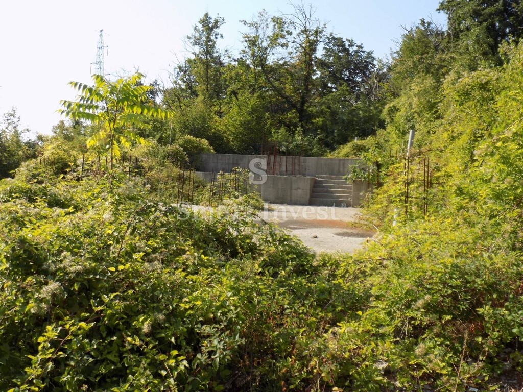 Image 6224552 - 9