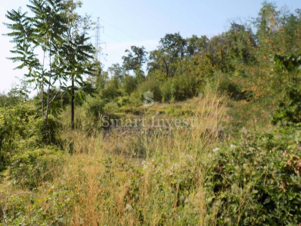 Image 6224552 - 11