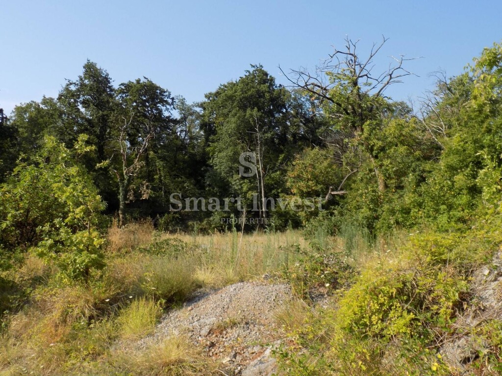 Image 6224552 - 4