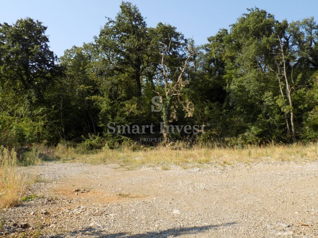 Image 6224552 - 5
