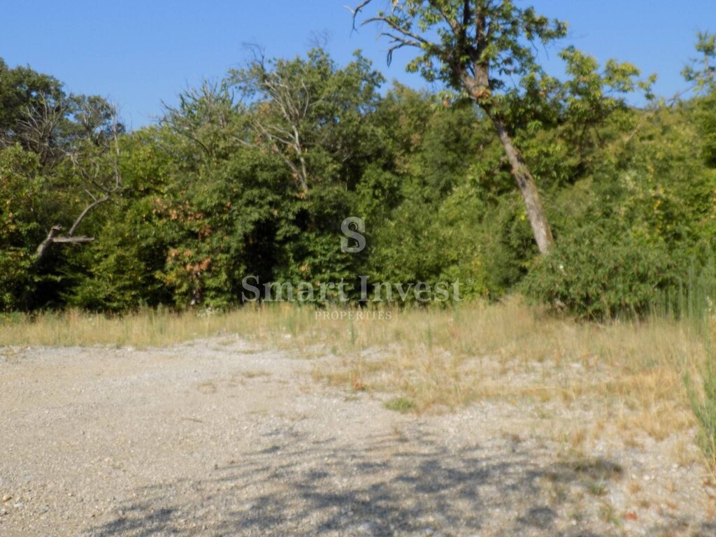 Image 6224552 - 6