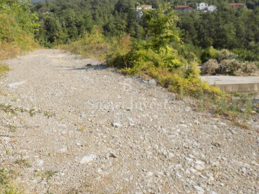 Image 6224552 - 8