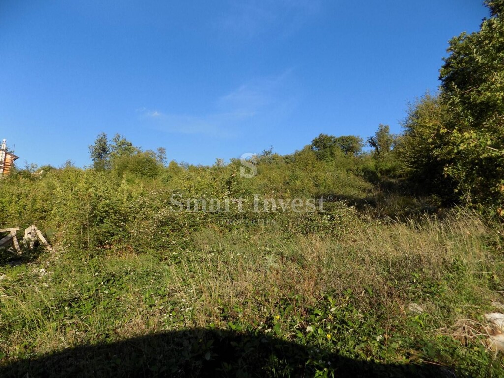 Image 6224576 - 4