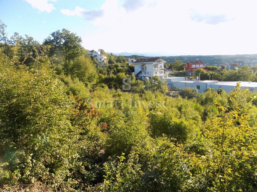 Image 6224576 - 1