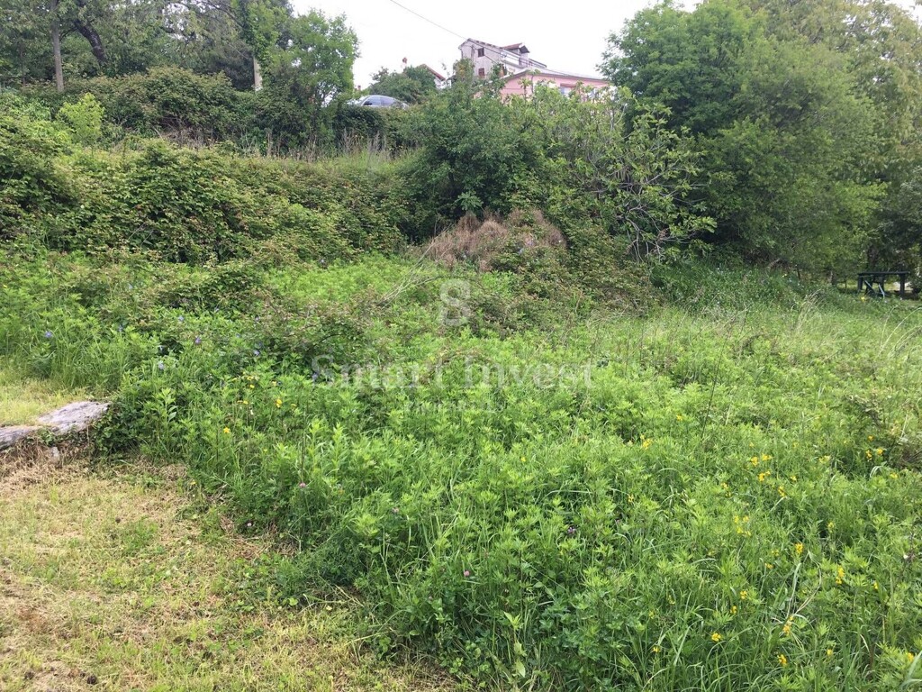 Image 6224577 - 7