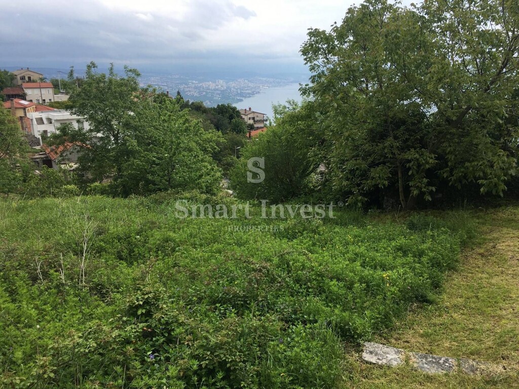 Image 6224577 - 5