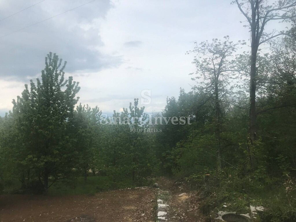Image 6224582 - 5