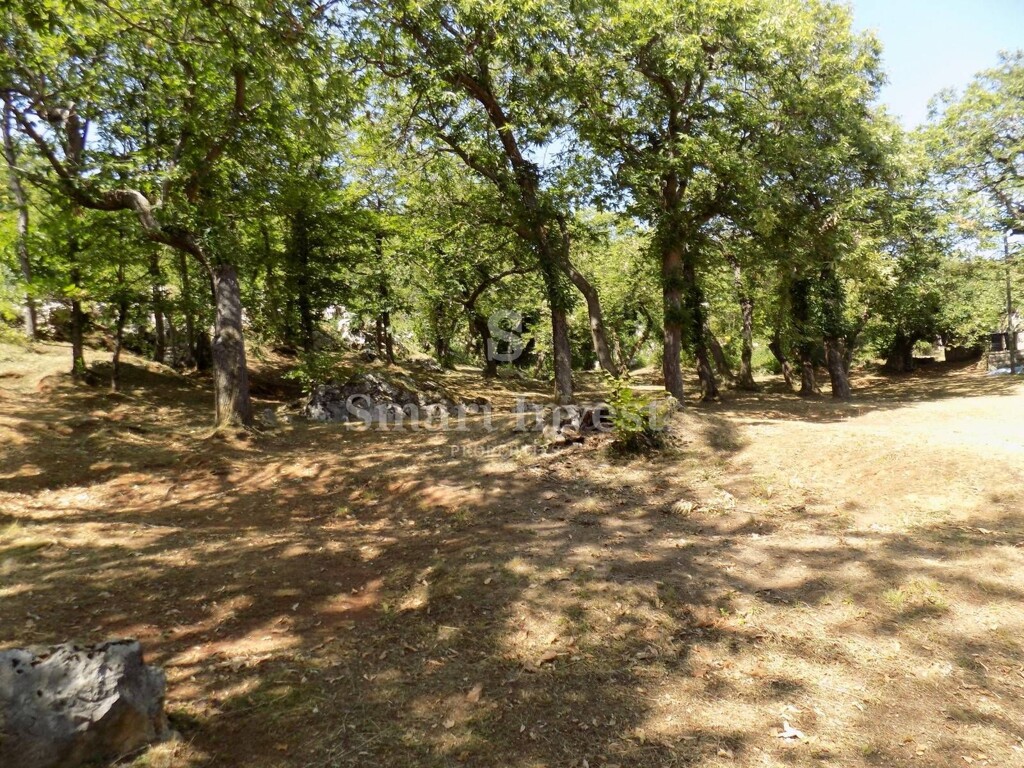 Image 6224585 - 4