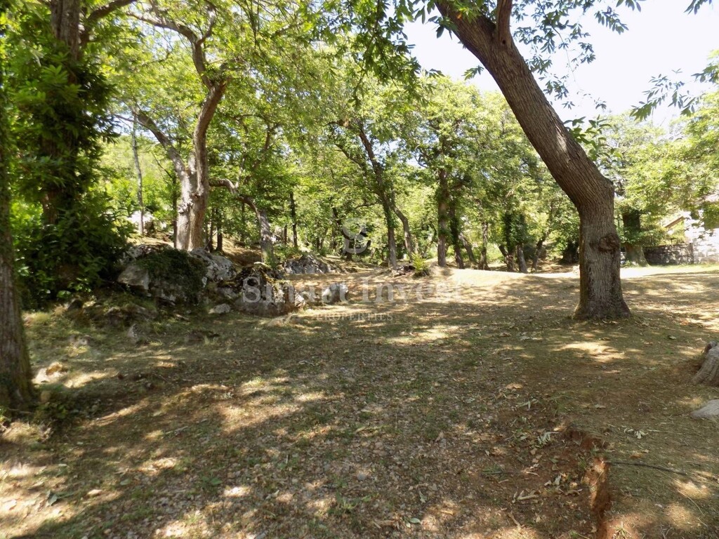 Image 6224585 - 2