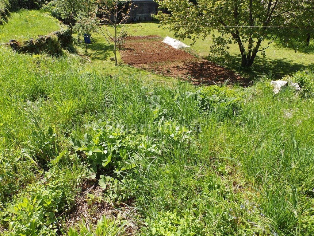 Image 6224588 - 2