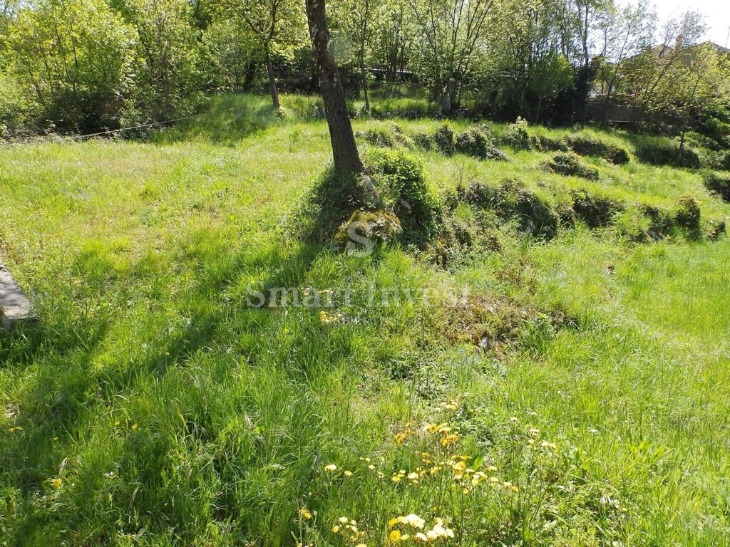 Image 6224588 - 5