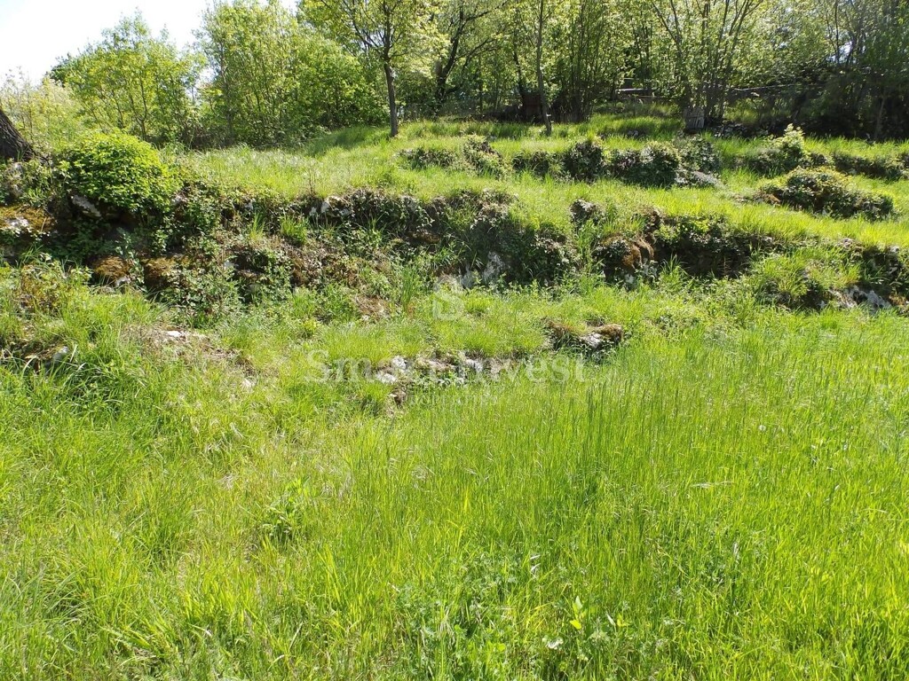 Image 6224588 - 4