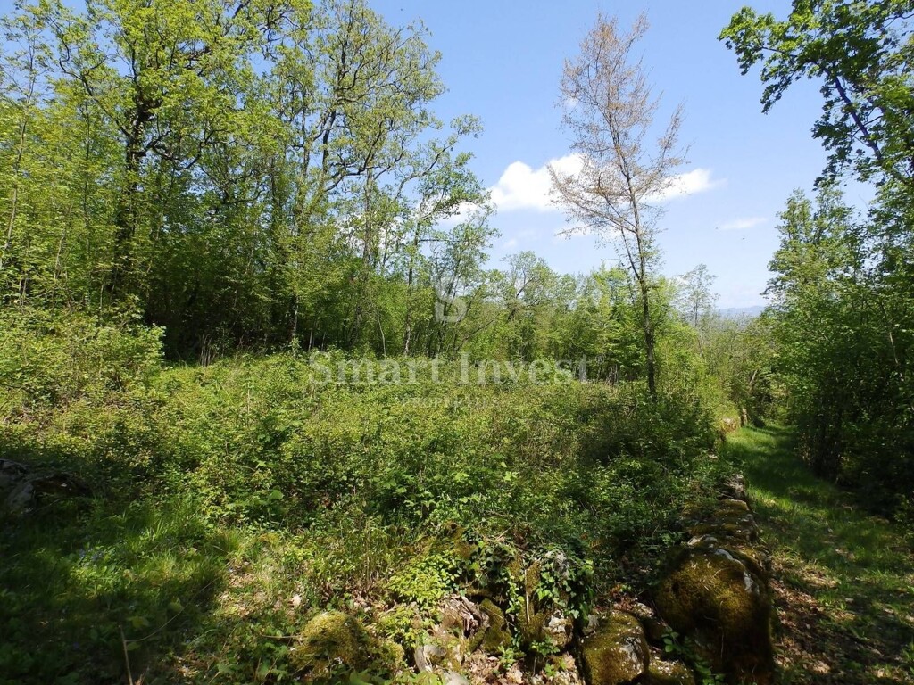 Image 6224588 - 6