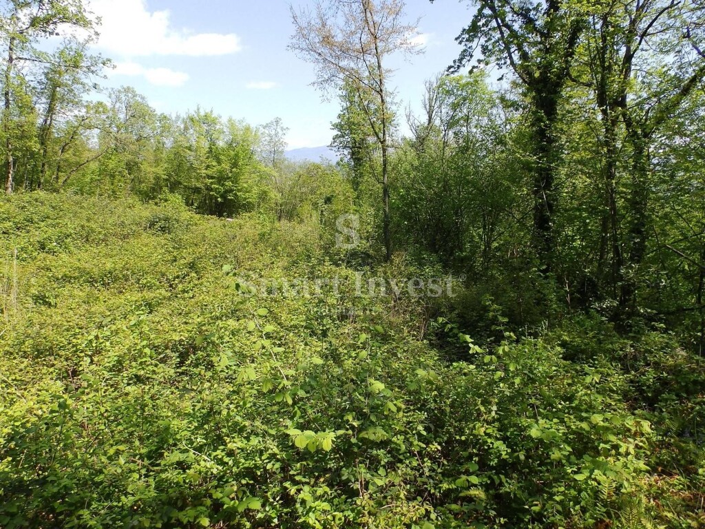Image 6224588 - 7