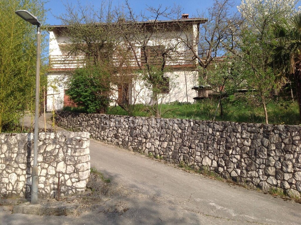 Image 6224589 - 2