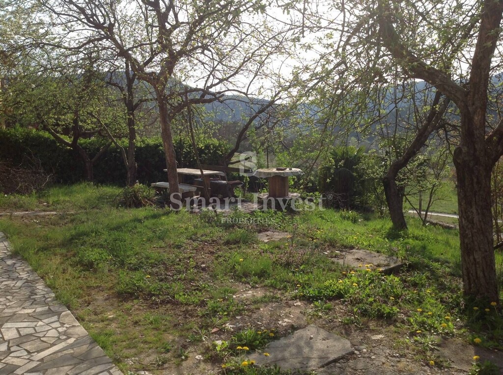 Image 6224589 - 25