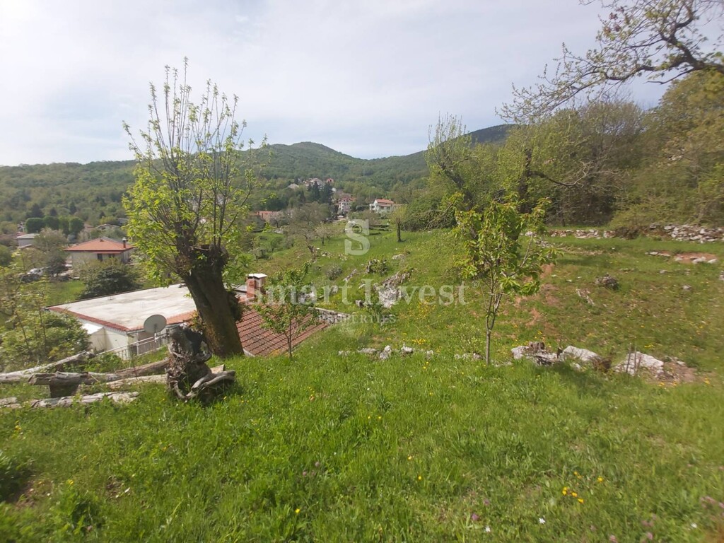 Image 6224591 - 10