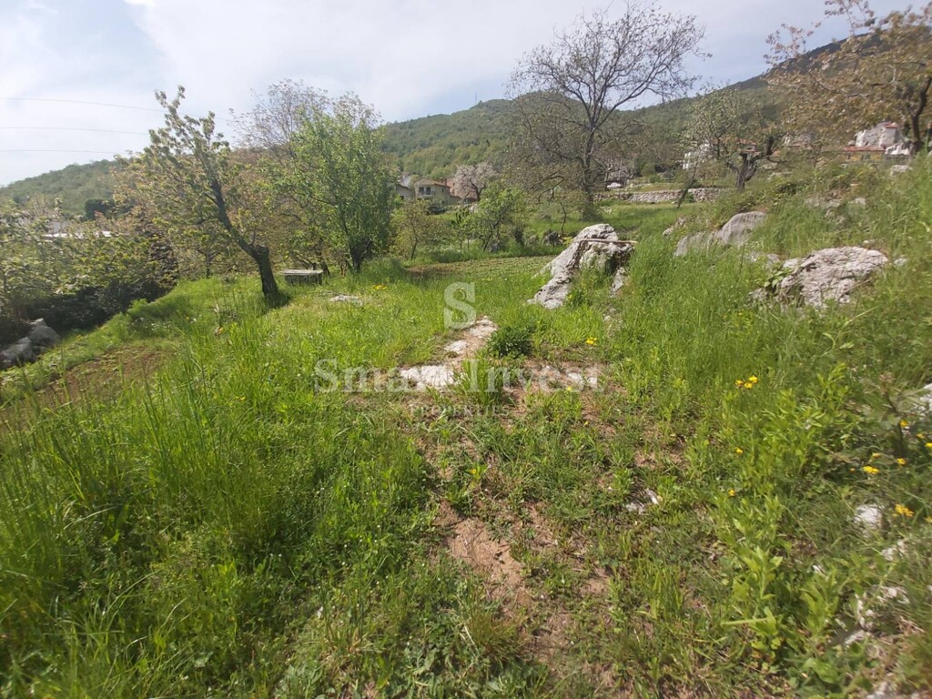 Image 6224591 - 2