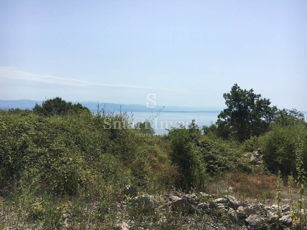 Image 6224598 - 5