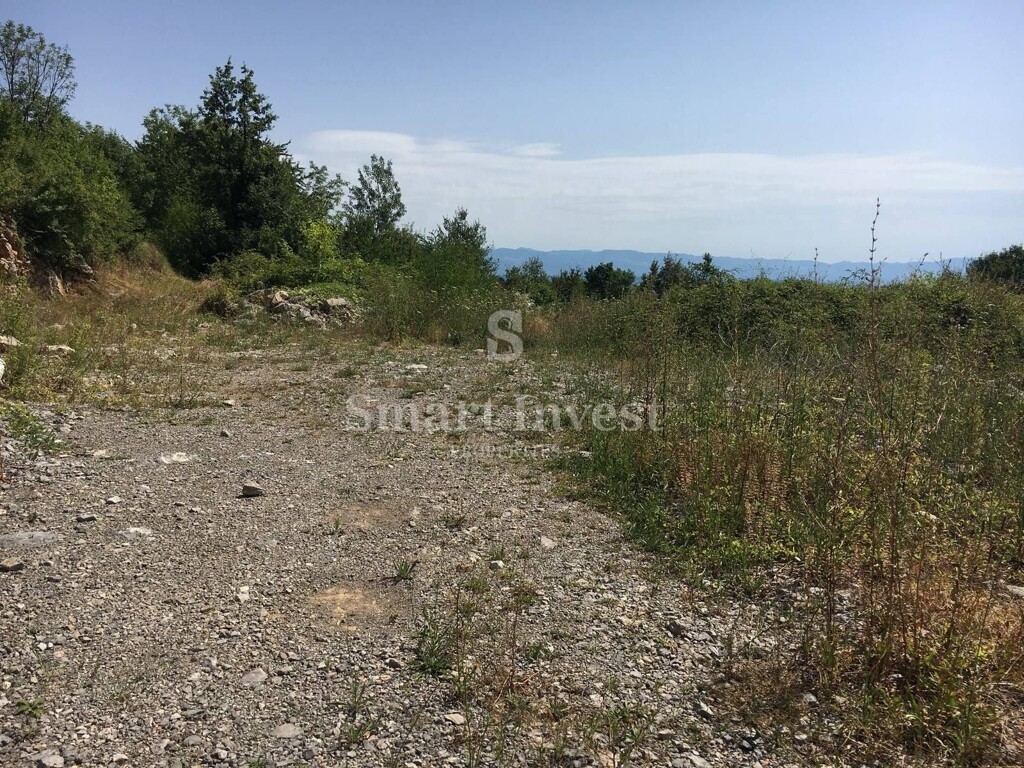 Image 6224598 - 4