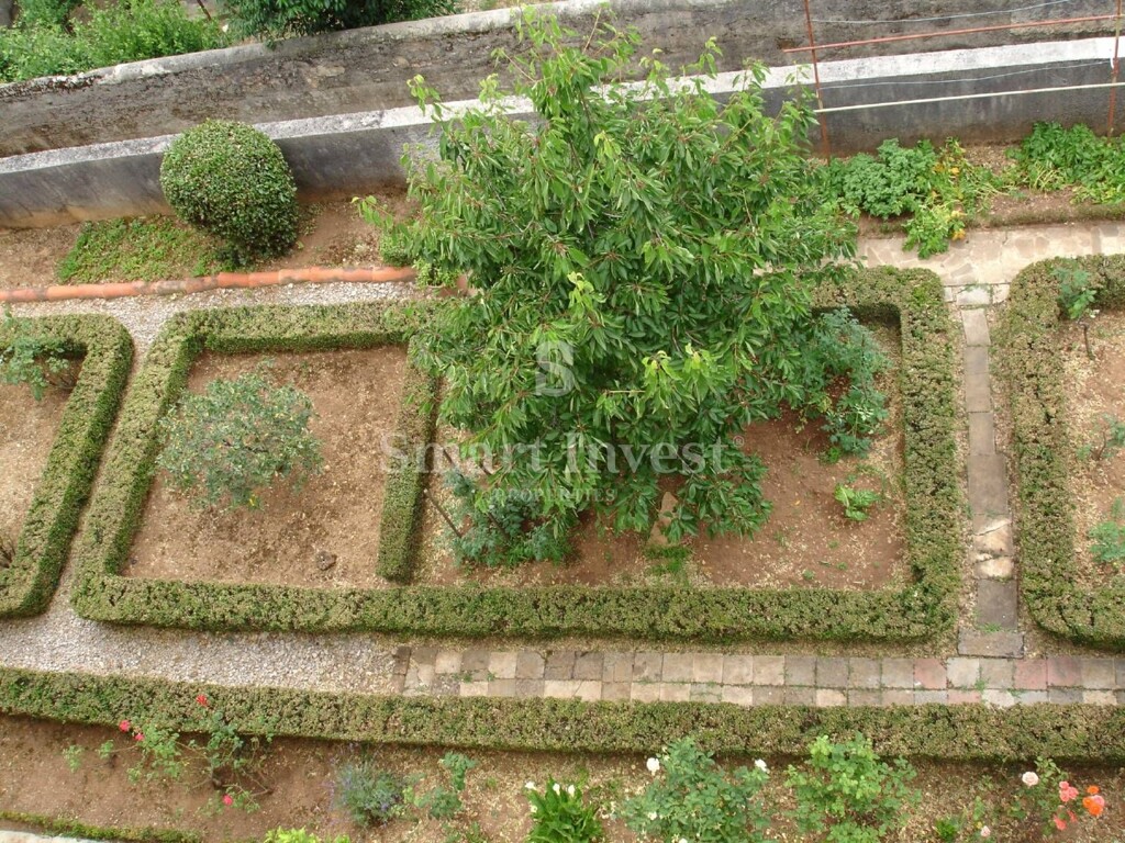 Image 6224600 - 15